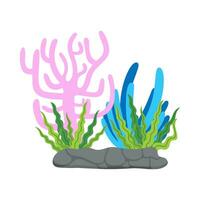 plat illustration de mer corail récif vecteur