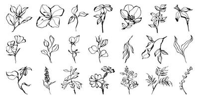 main tiré encre fleurs et branches collection. floral éléments ensemble pour conception projets, salutation cartes, enregistrer le date, social médias des postes, invitations. isolé sur blanc vecteur illustration.