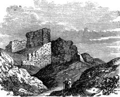 ruines de le principale palais dans babylonie ancien gravure. vecteur