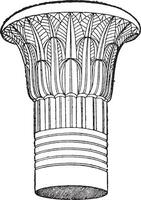 égyptien capital, ancien gravure. vecteur