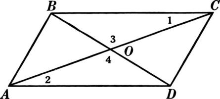 parallélogramme avec diagonales ancien illustration. vecteur