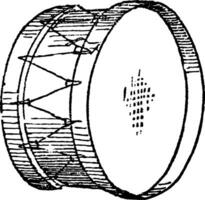 tambouriner, ancien illustration. vecteur