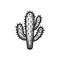 vecteur main tiré cactus griffonnage mexicain nopal vecteur illustration isolé sur blanc Contexte