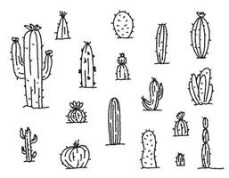 ensemble de griffonnage cactus . ligne de exotique les plantes. griffonnage esquisser vecteur