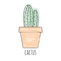 mignonne petite icône de cactus. illustration vectorielle vecteur