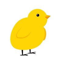 petite icône simple de poulet jaune. illustration vectorielle vecteur