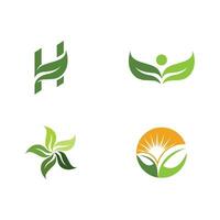 logos de l'écologie des feuilles d'arbre vert vecteur