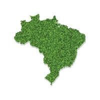 vecteur isolé simplifié illustration icône avec vert herbeux silhouette de Brésil carte. blanc Contexte