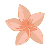 plumeria fleur clipart. tropical floral griffonnage. dessin animé vecteur botanique illustration. contemporain style dessin isolé sur blanche.