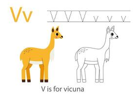tracé alphabet des lettres avec mignonne animaux. Couleur mignonne vigogne. trace lettre v. vecteur
