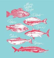 collection de poissons avec des noms calligraphiques vecteur