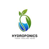 hydroponique logo conception modèle vecteur, en bonne santé légume aliments. vecteur