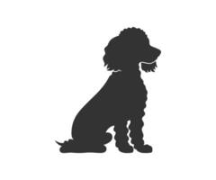 miniature caniche silhouette. vecteur illustration conception.