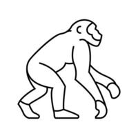 primate les ancêtres Humain évolution ligne icône vecteur illustration