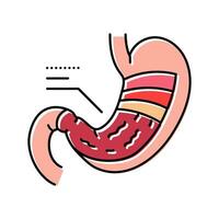 estomac anatomie gastro-entérologue Couleur icône vecteur illustration