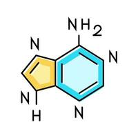 nucléique acide les bases biochimie Couleur icône vecteur illustration