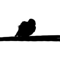 silhouette de le oiseau perché sur le électrique câble base sur mon la photographie. vecteur illustration