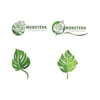 monstera logo vecteur modèle symbole conception