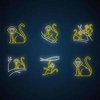 singes dans le jeu d'icônes de néon sauvage vecteur