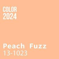 modèle branché Couleur de le année 2024 pêche duvet vecteur