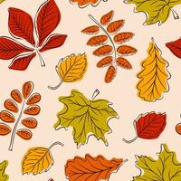 sans couture modèle avec l'automne feuilles dans ligne art style. génial pour arrière-plans, cartes, cadeau emballage papier, Accueil décor. vecteur illustration.