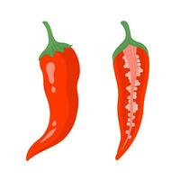 chaud rouge le Chili poivre, vecteur icône. Frais entier légume, moitié avec graines. main tiré mûr Cayenne poivre cosse isolé sur blanche. assaisonnement, pimenter pour épicé aliments. brillant plat clipart pour imprimer, la toile