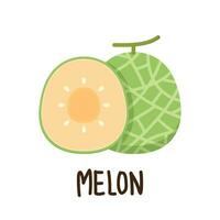 vecteur de melon. melon sur fond blanc. fond d'écran. création de logos.