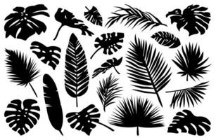 silhouette forêt tropicale paume feuilles ensemble. vecteur