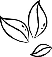 coco feuilles main tiré vecteur illustration
