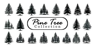 pin des arbres silhouettes ou sapin des arbres collection ensemble. ancien ensemble de silhouettes de pin des arbres. vecteur épicéa arbre, encre plante esquisser, main dessin, noir silhouette vecteur illustration