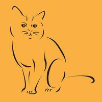 Orange chat sillhouette vecteur