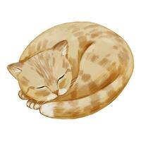 aquarelle mignonne chat dormant. animal art isolé sur blanc vecteur