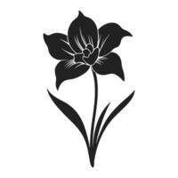 une jonquille fleur silhouette vecteur isolé sur une blanc Contexte
