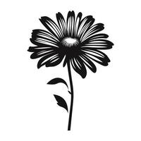 un aster fleur noir silhouette vecteur gratuit