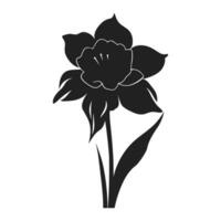 une jonquille fleur silhouette vecteur isolé sur une blanc Contexte