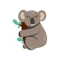 dessin animé koala ours animal isolé sur blanche. mignonne personnage, vecteur zoo, faune affiche.