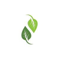 logos de l'écologie des feuilles d'arbre vert vecteur