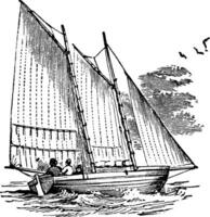 récif voiles, ancien illustration. vecteur