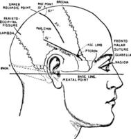 principe fissures de le cerveau, ancien illustration vecteur