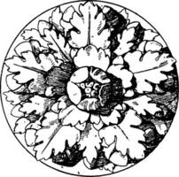 romain rosette est un artificiel Rose avec cinq divisions, ancien gravure. vecteur