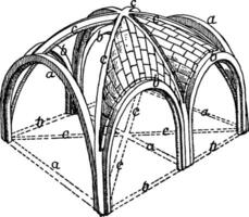 sexpartite nervuré sauter, transversal côte, ancien gravure. vecteur