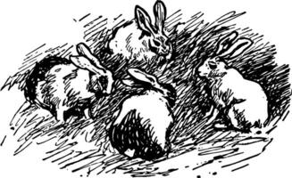 quatre lapin, ancien illustration vecteur