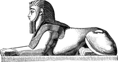 sphinx à Thèbes, Amon, ancien gravure. vecteur