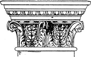 corinthien pilastre capital, modillons, ancien gravure. vecteur