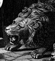 tête de rugissement lion, ancien illustration. vecteur