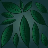 Feuilles de forêt verte fraîche frame background vector illustration