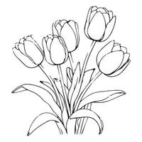 tulipe fleur graphique noir blanc isolé bouquet esquisser illustration vecteur