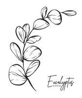 botanique élégant ligne illustration de une eucalyptus feuilles branche pour mariage invitation et cartes, logo conception, la toile, social médias et affiche, modèle, publicité, beauté et cosmétique industrie. vecteur