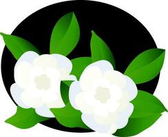 vecteur illustration de blanc gardénia fleurs avec vert feuilles dans noir cercle sur blanc Contexte.
