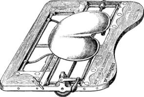 appareil pour lithotritie, le siège étant inférieur, ancien gravure vecteur